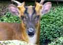 キョンの写真 8